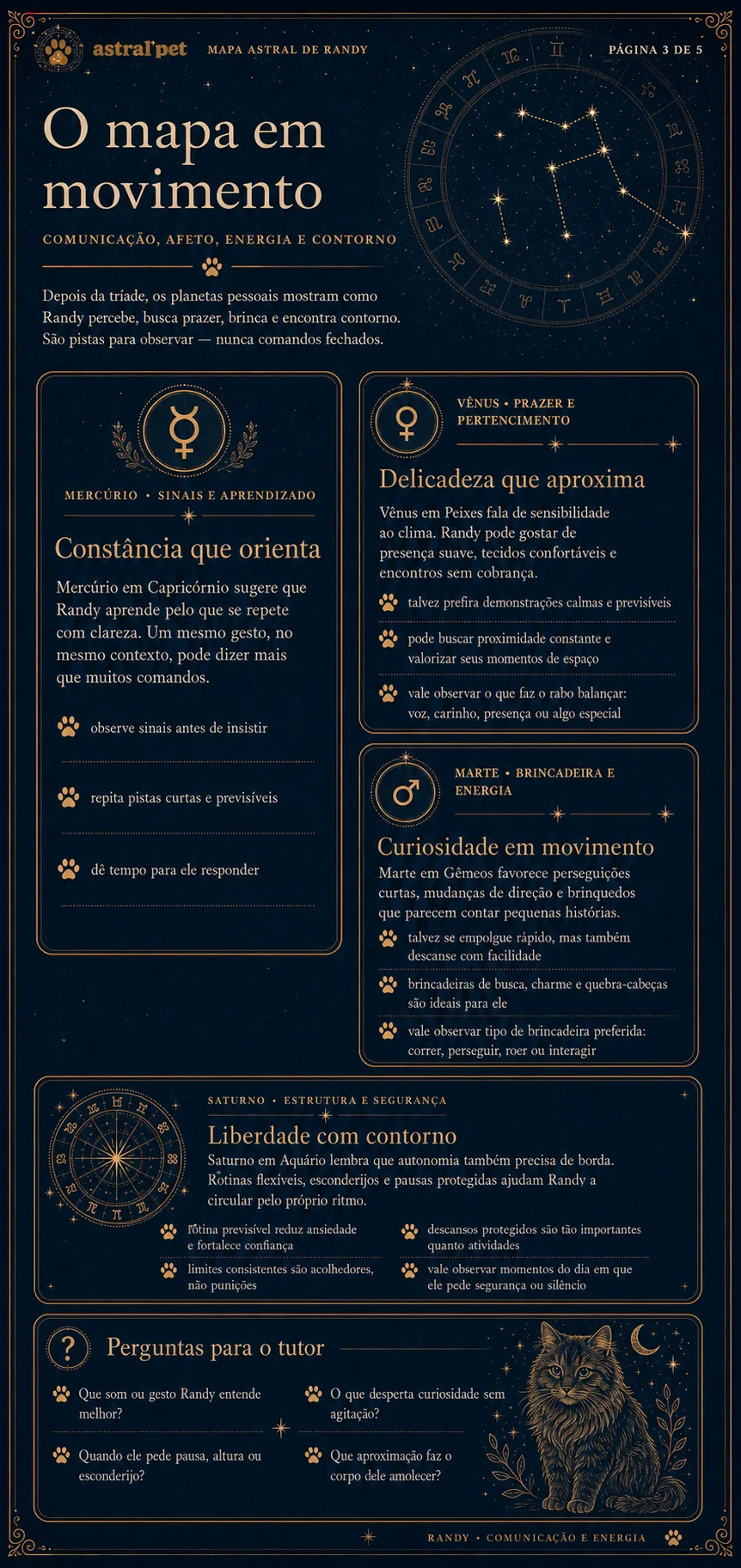 Página interna real do mapa astral do Randy, com a leitura de comunicação, afeto e energia.