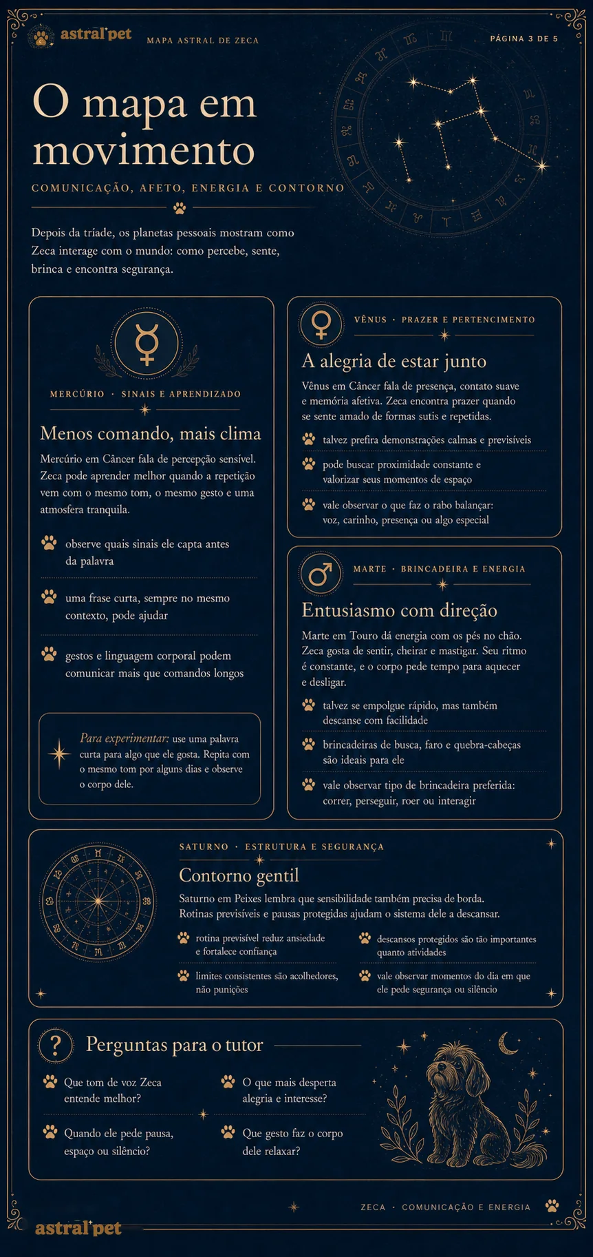 Página 3 do mapa astral do Zeca, com a leitura de comunicação, afeto e energia.